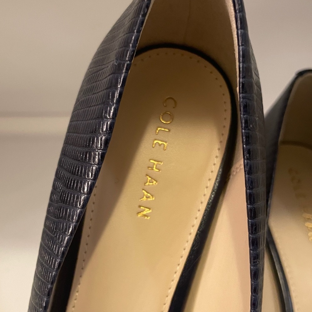 Cole Haan Blue Textured Heels